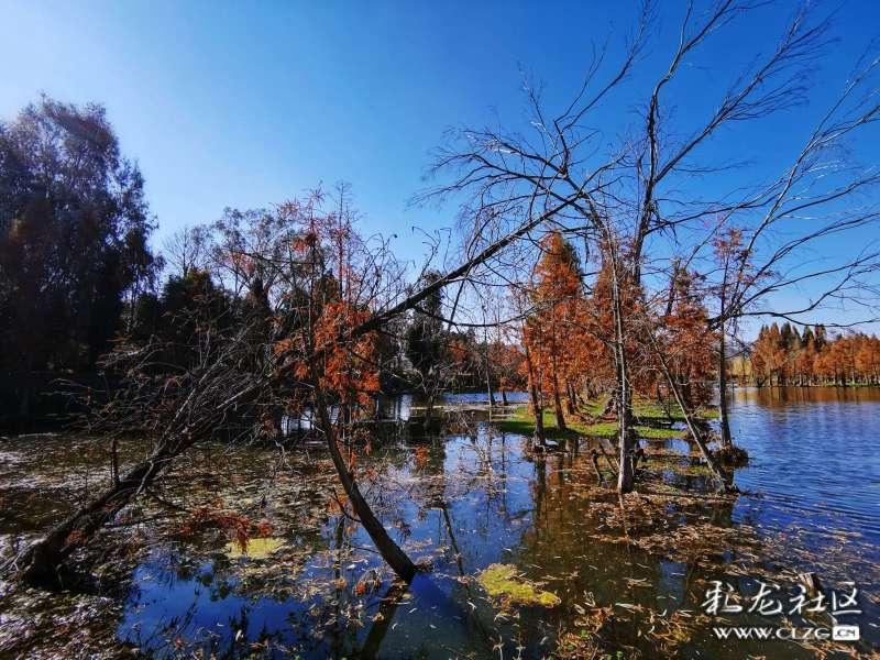 智慧问答网页-助您解疑,畅享智慧南京师范大学心理学自考本科